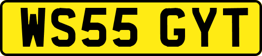 WS55GYT
