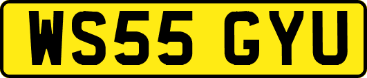 WS55GYU