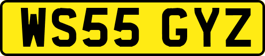 WS55GYZ