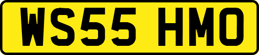 WS55HMO