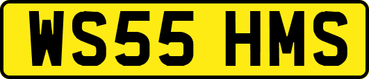 WS55HMS
