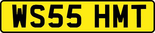 WS55HMT