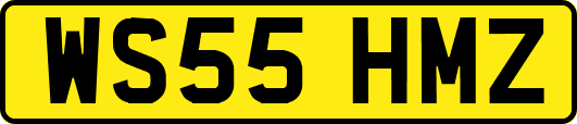WS55HMZ