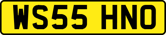WS55HNO
