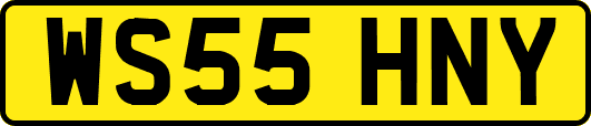 WS55HNY