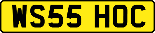 WS55HOC