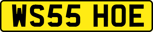 WS55HOE