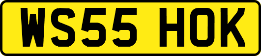 WS55HOK