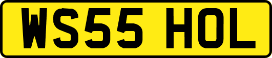 WS55HOL