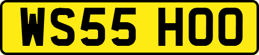WS55HOO