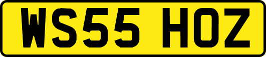 WS55HOZ