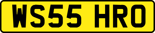 WS55HRO
