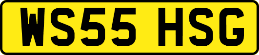 WS55HSG