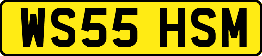 WS55HSM