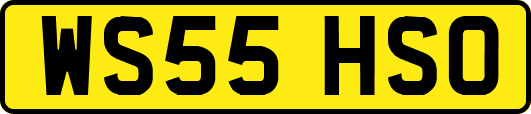 WS55HSO