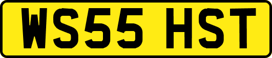 WS55HST