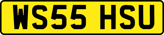 WS55HSU