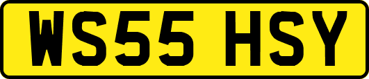 WS55HSY
