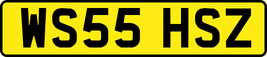 WS55HSZ