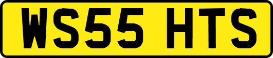 WS55HTS