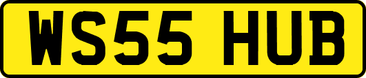 WS55HUB