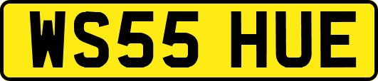 WS55HUE