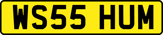 WS55HUM