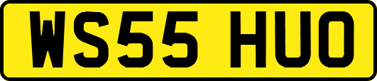 WS55HUO