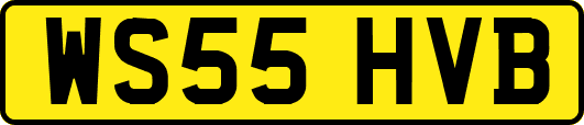 WS55HVB