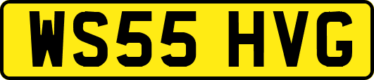 WS55HVG