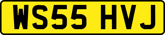 WS55HVJ