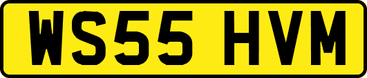 WS55HVM