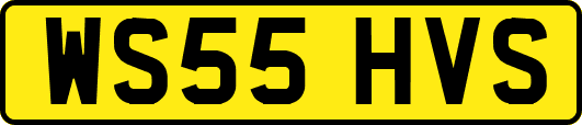 WS55HVS