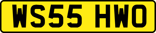 WS55HWO