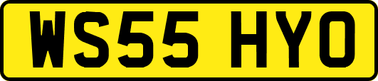 WS55HYO