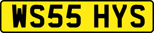 WS55HYS