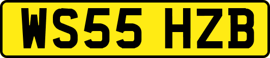 WS55HZB