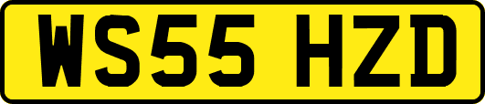 WS55HZD