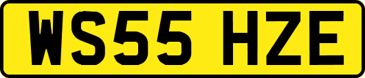 WS55HZE