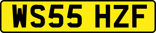 WS55HZF