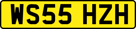 WS55HZH