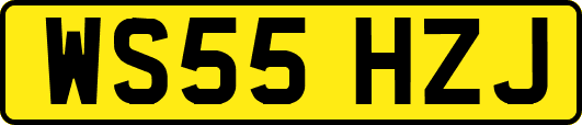 WS55HZJ