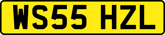 WS55HZL