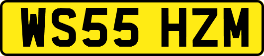 WS55HZM