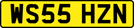 WS55HZN