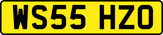 WS55HZO
