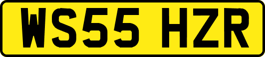 WS55HZR