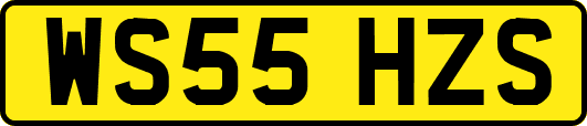 WS55HZS