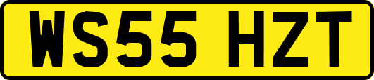 WS55HZT