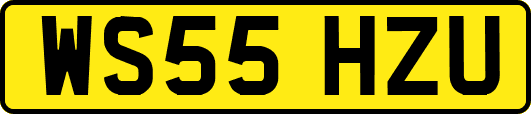 WS55HZU